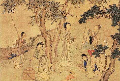 豳风（《诗经》十五国风之一）