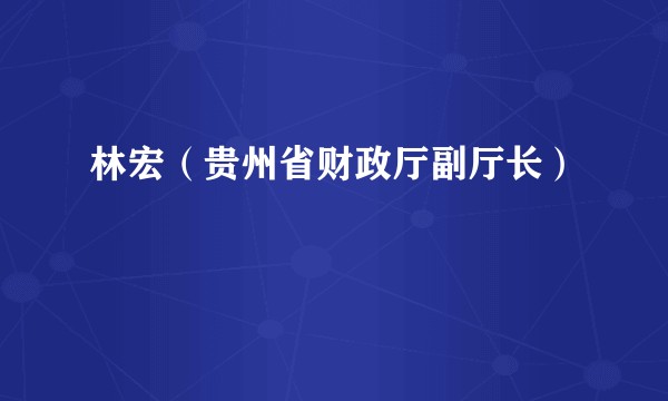 林宏（贵州省财政厅副厅长）