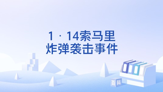 1·14索马里炸弹袭击事件