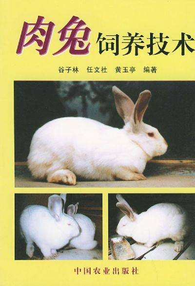 肉兔饲养技术