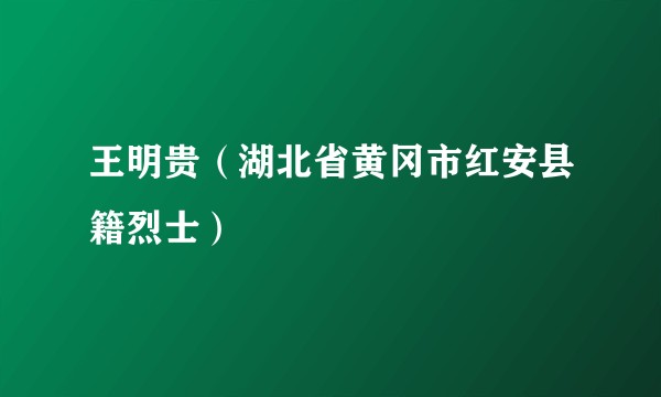 王明贵(湖北省黄冈市红安县籍烈士)