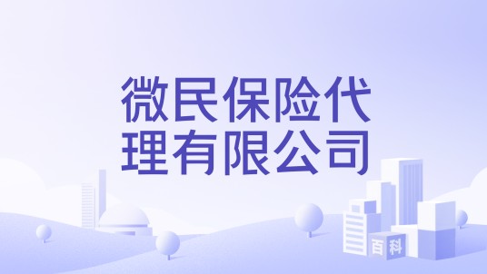微民保险代理有限公司