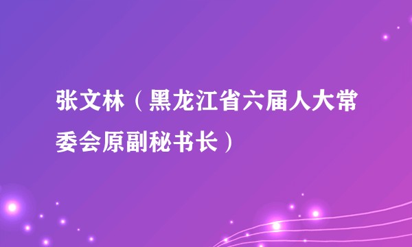 张文林（黑龙江省六届人大常委会原副秘书长）