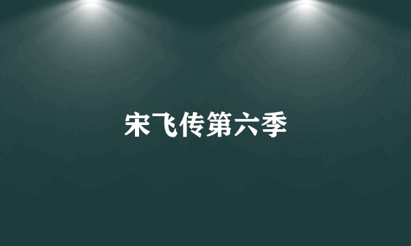 宋飞传第六季