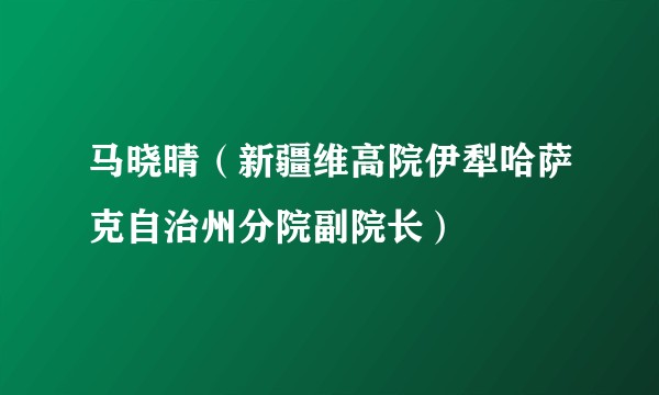 马晓晴（新疆维高院伊犁哈萨克自治州分院副院长）