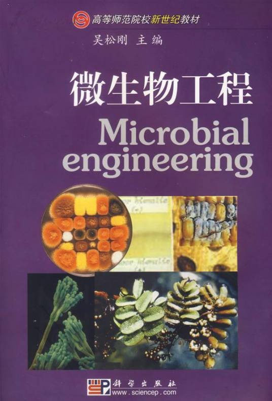 微生物工程（发酵工程）