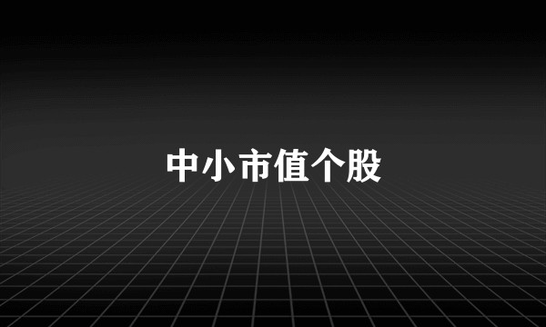 中小市值个股
