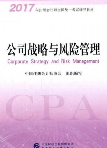 公司战略与风险管理（2014年中国经济出版社出版的图书）