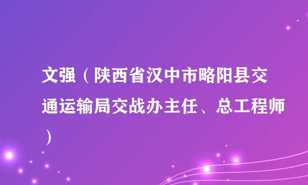 文强（陕西省汉中市略阳县交通运输局交战办主任、总工程师）