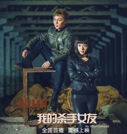 我的杀手女友（2017年董汉新、周铜执导的电影）