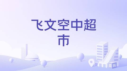 飞文空中超市