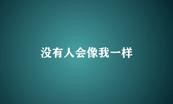 没有人会像我一样