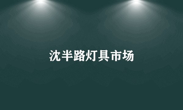 沈半路灯具市场