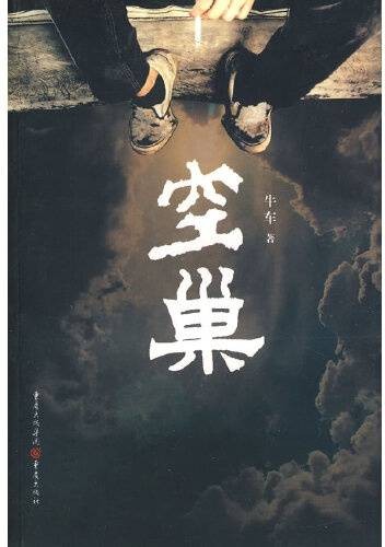 空巢（2008年重庆出版社出版的图书）