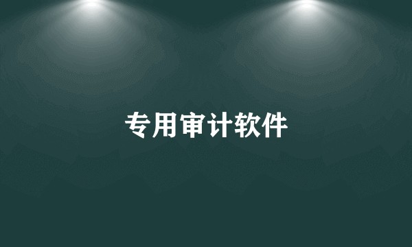 专用审计软件
