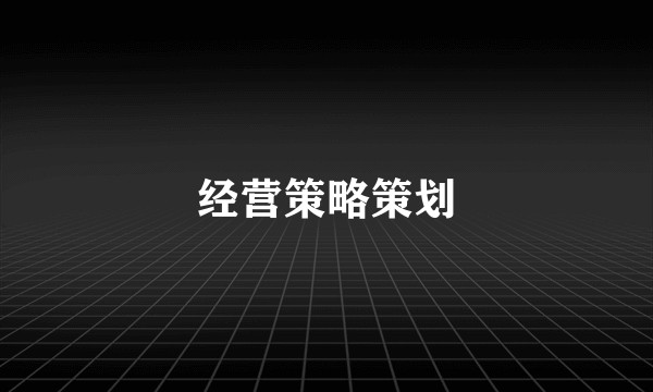 经营策略策划