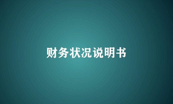 财务状况说明书
