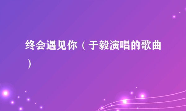 终会遇见你（于毅演唱的歌曲）
