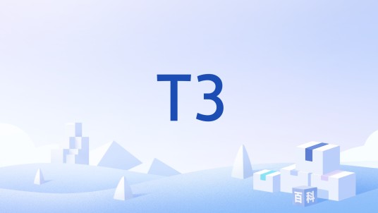 T3（高速电信标准）