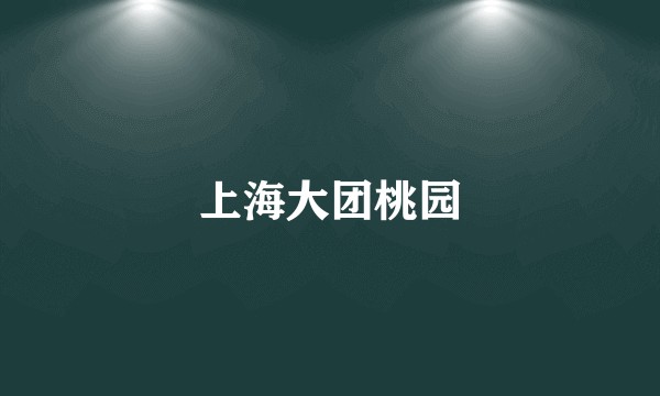 上海大团桃园