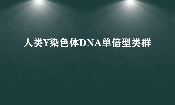 人类Y染色体DNA单倍型类群