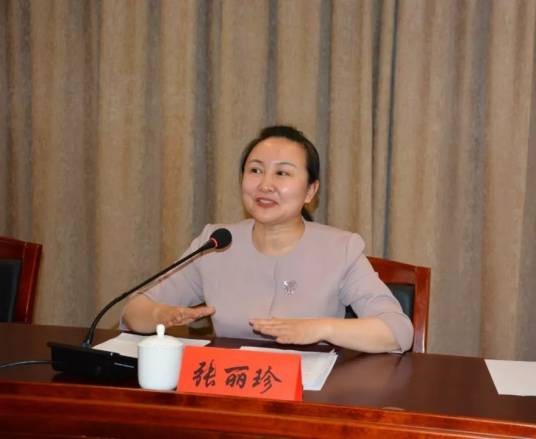 张丽珍(大同市妇联原党组书记)