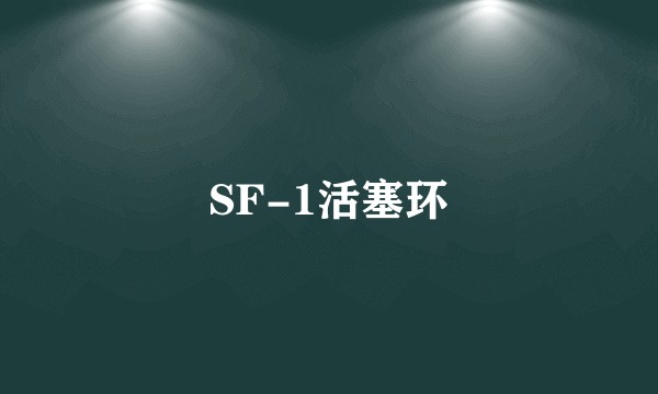 SF-1活塞环