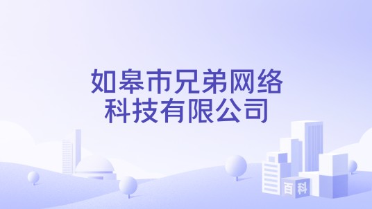 如皋市兄弟网络科技有限公司