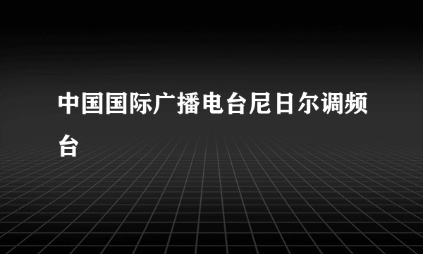 中国国际广播电台尼日尔调频台