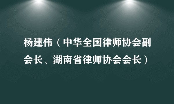 杨建伟(中华全国律师协会副会长、湖南省律师协会会长)
