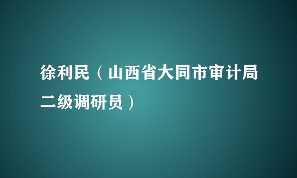 徐利民（山西省大同市审计局二级调研员）