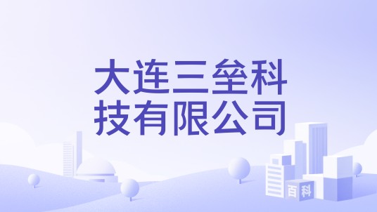 大连三垒科技有限公司