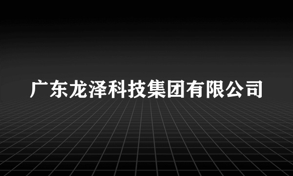 广东龙泽科技集团有限公司