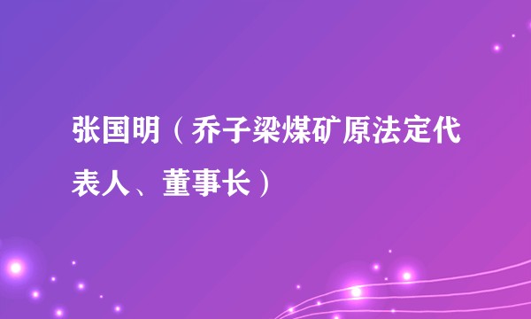 张国明（乔子梁煤矿原法定代表人、董事长）