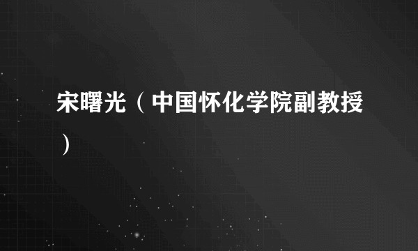 宋曙光（中国怀化学院副教授）