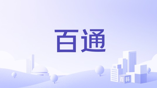 百通(广州百通世纪信息科技有限公司旗下品牌)