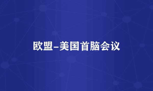 欧盟-美国首脑会议