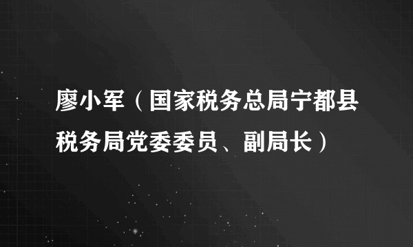廖小军（国家税务总局宁都县税务局党委委员、副局长）