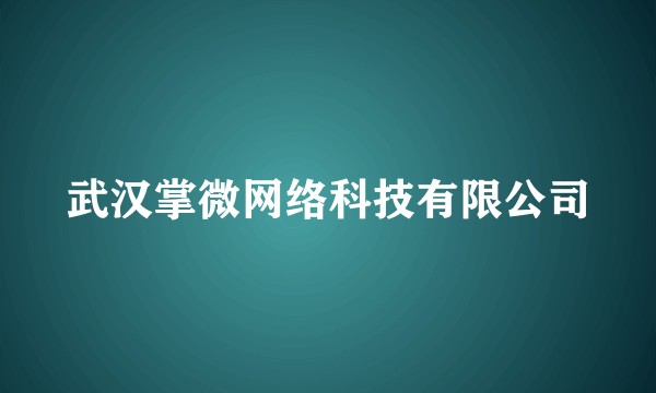 武汉掌微网络科技有限公司