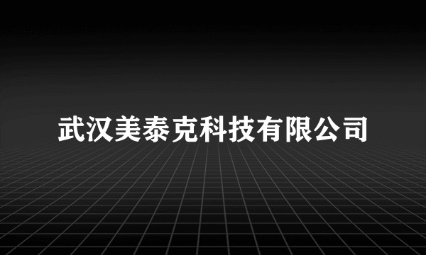 武汉美泰克科技有限公司