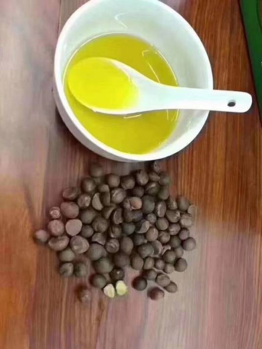 茶树籽油