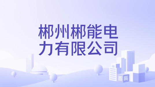 郴州郴能电力有限公司