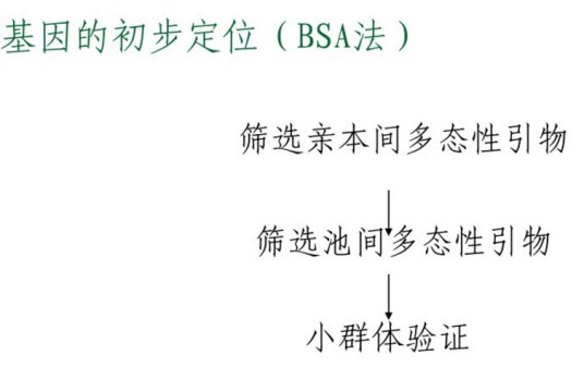 BSA（集团分离分析法）