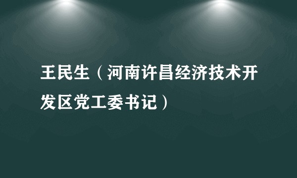 王民生（河南许昌经济技术开发区党工委书记）