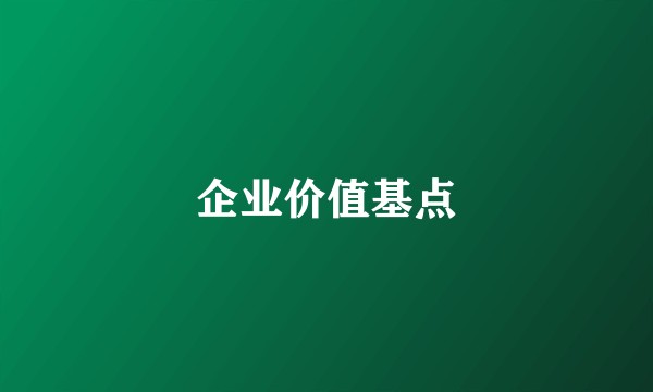 企业价值基点