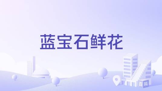 蓝宝石鲜花
