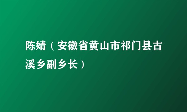 陈婧(安徽省黄山市祁门县古溪乡副乡长)