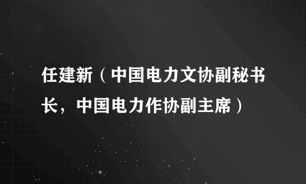 任建新（中国电力文协副秘书长，中国电力作协副主席）