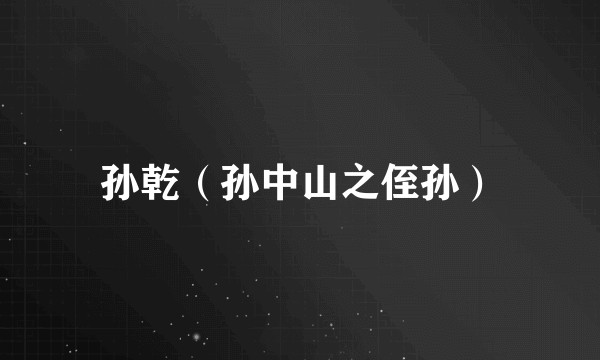 孙乾(孙中山之侄孙)