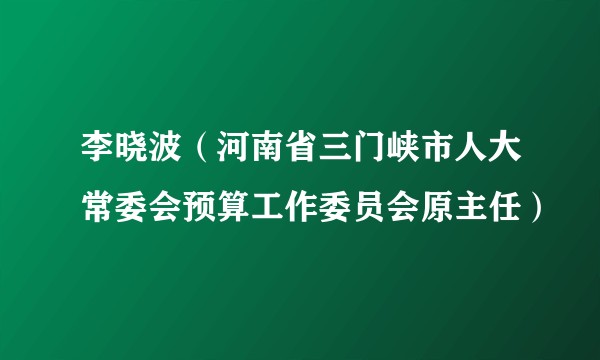 李晓波（河南省三门峡市人大常委会预算工作委员会原主任）